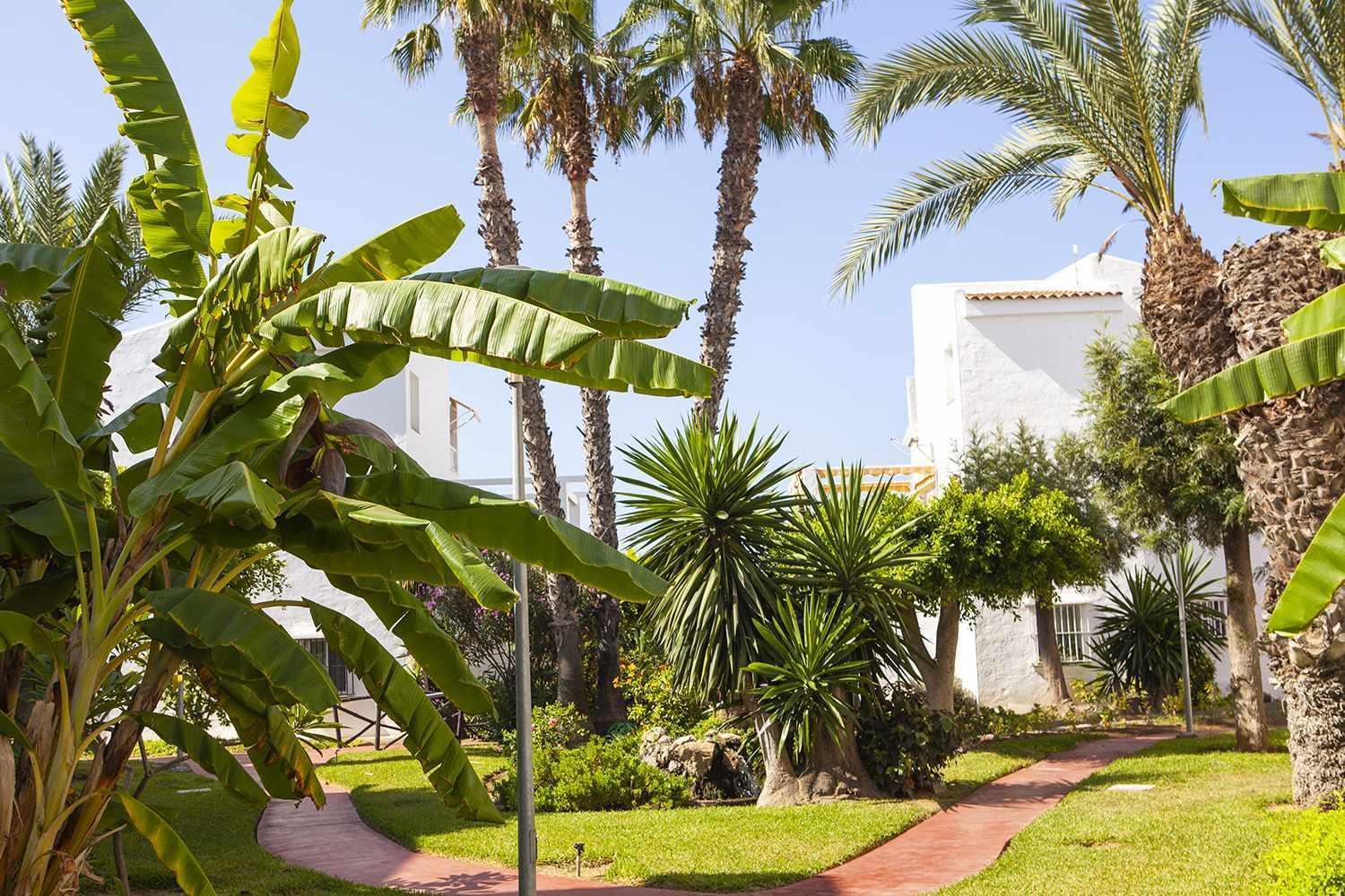 Apartament A 100M De Playa Piscina Y Todos Los Servicios Torrox Zewnętrze zdjęcie