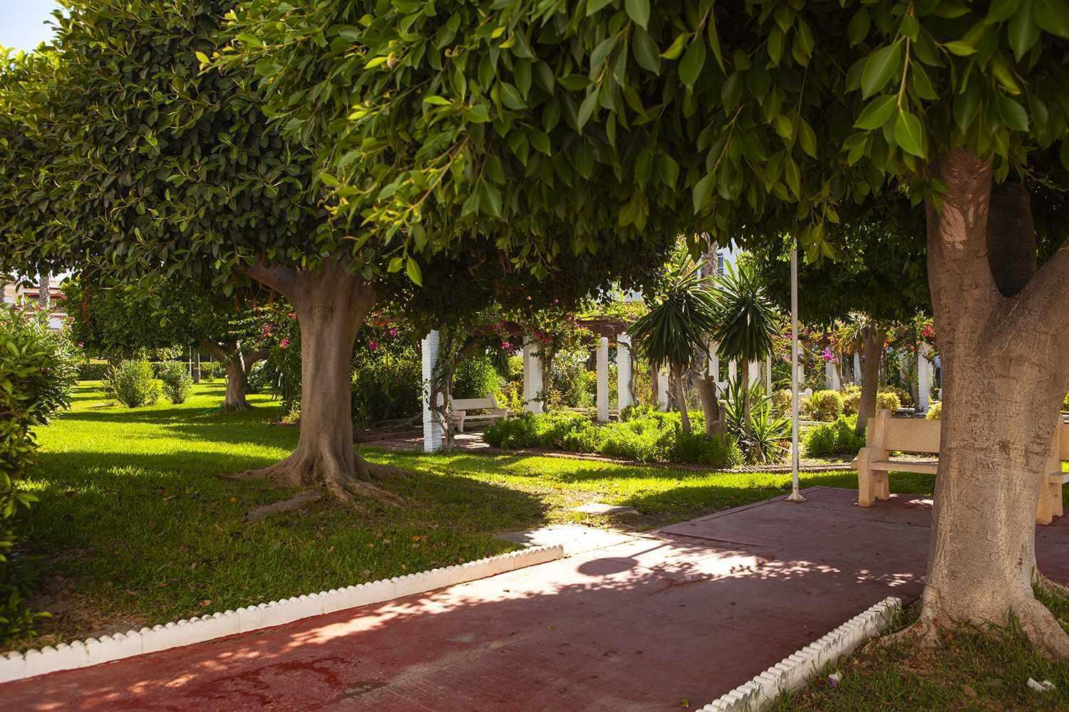 Apartament A 100M De Playa Piscina Y Todos Los Servicios Torrox Zewnętrze zdjęcie